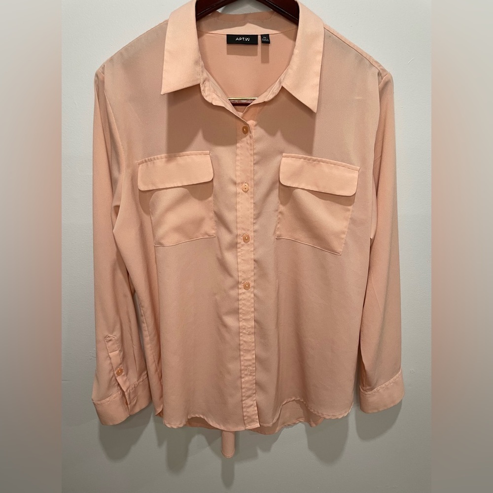 PROFESSIONAL sheer blouse XL